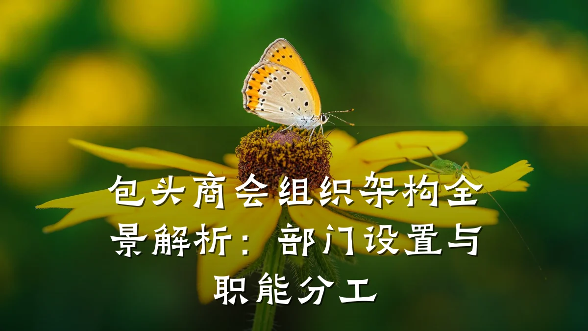 包头商会组织架构全景解析:部门设置与职能分工