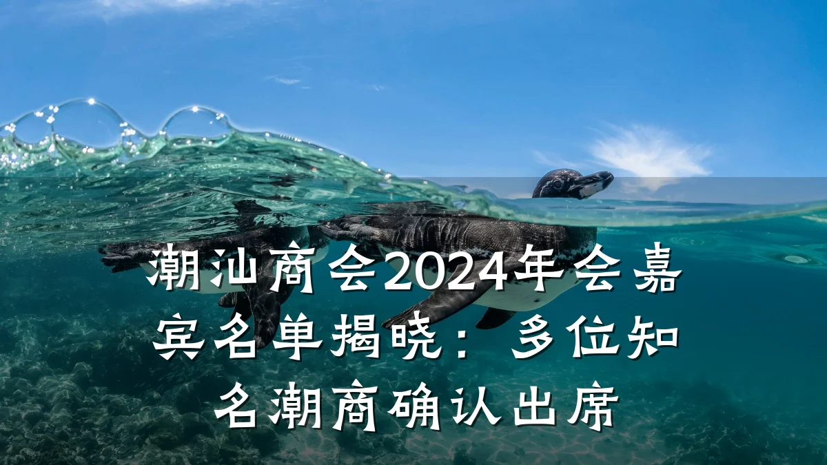 潮汕商会2024年会嘉宾名单揭晓：多位知名潮商确认出席