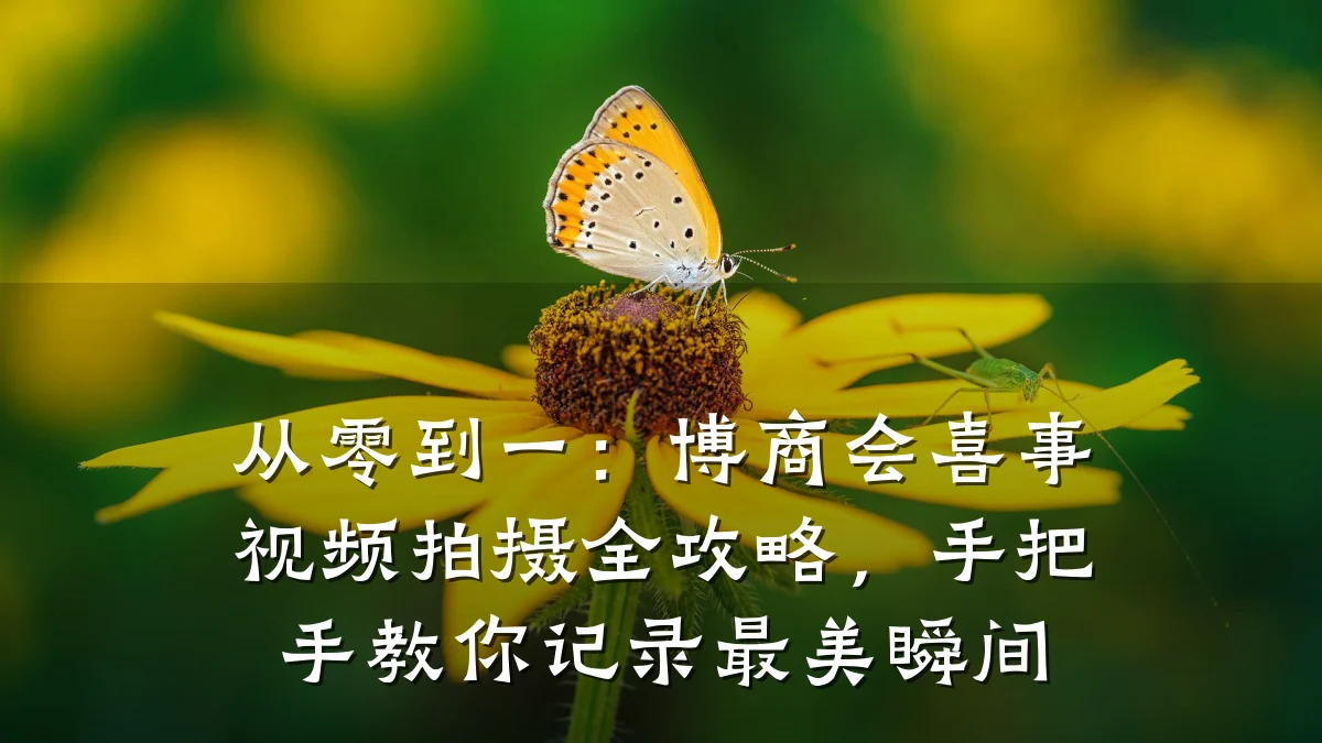 从零到一:博商会喜事视频拍摄全攻略,手把手教你记录最美瞬间