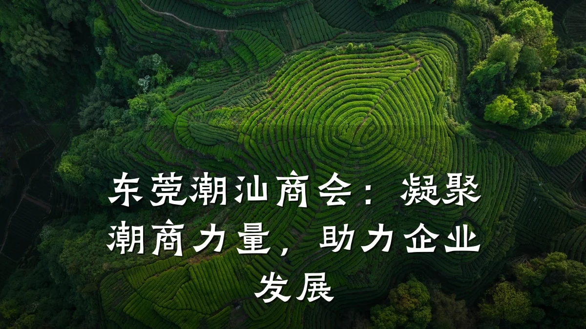 东莞潮汕商会:凝聚潮商力量,助力企业发展