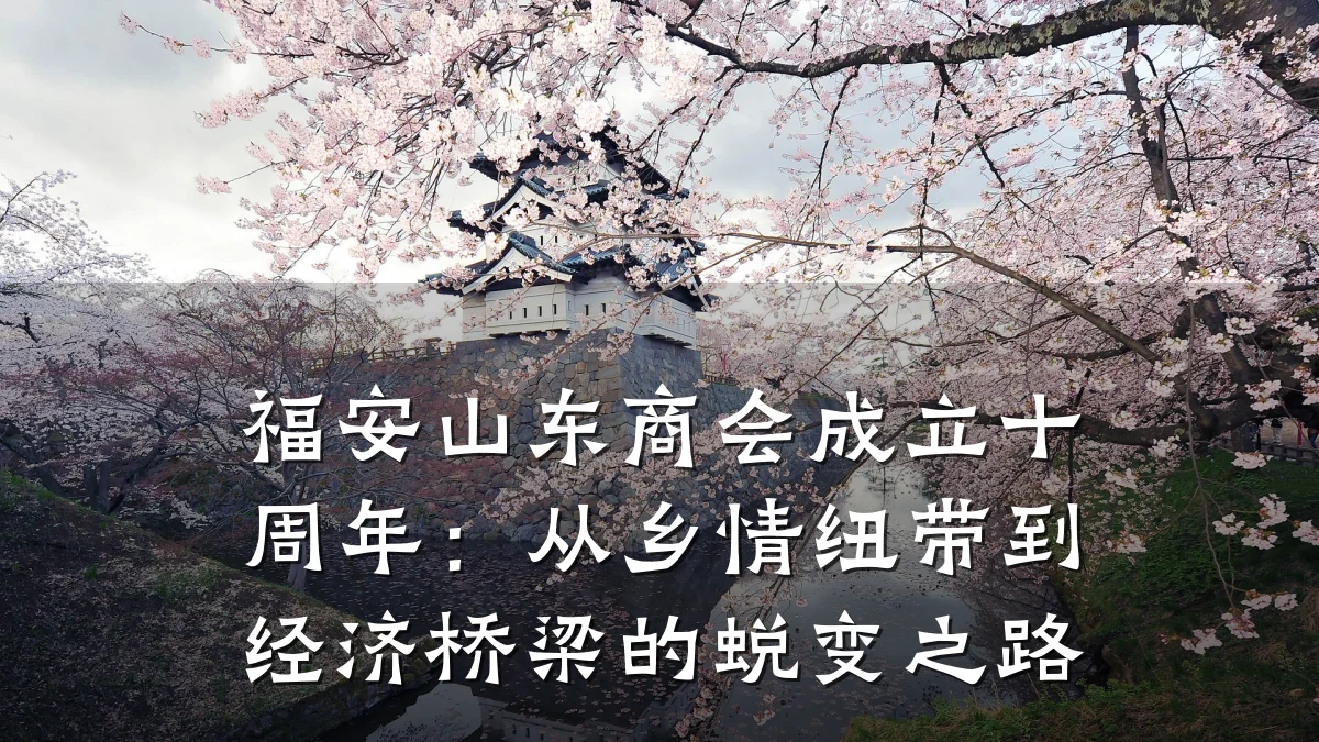 福安山东商会成立十周年:从乡情纽带到经济桥梁的蜕变之路