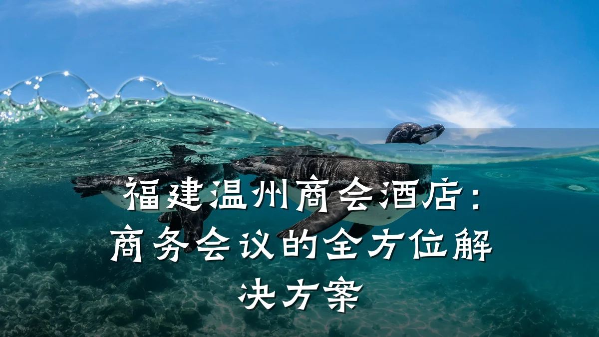 福建温州商会酒店:商务会议的全方位解决方案