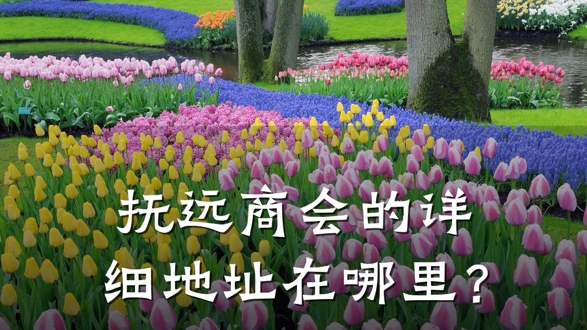 抚远商会的详细地址在哪里?