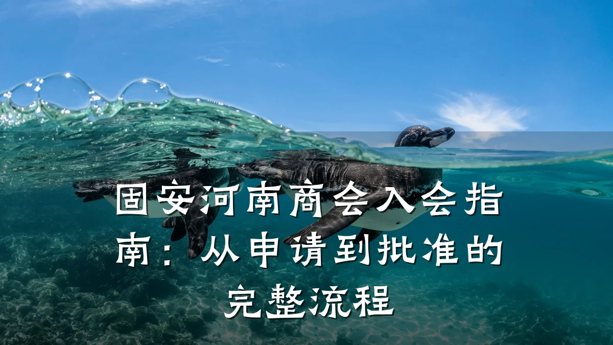 固安河南商会入会指南：从申请到批准的完整流程