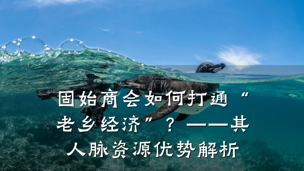 固始商会如何打通“老乡经济”?——其人脉资源优势解析