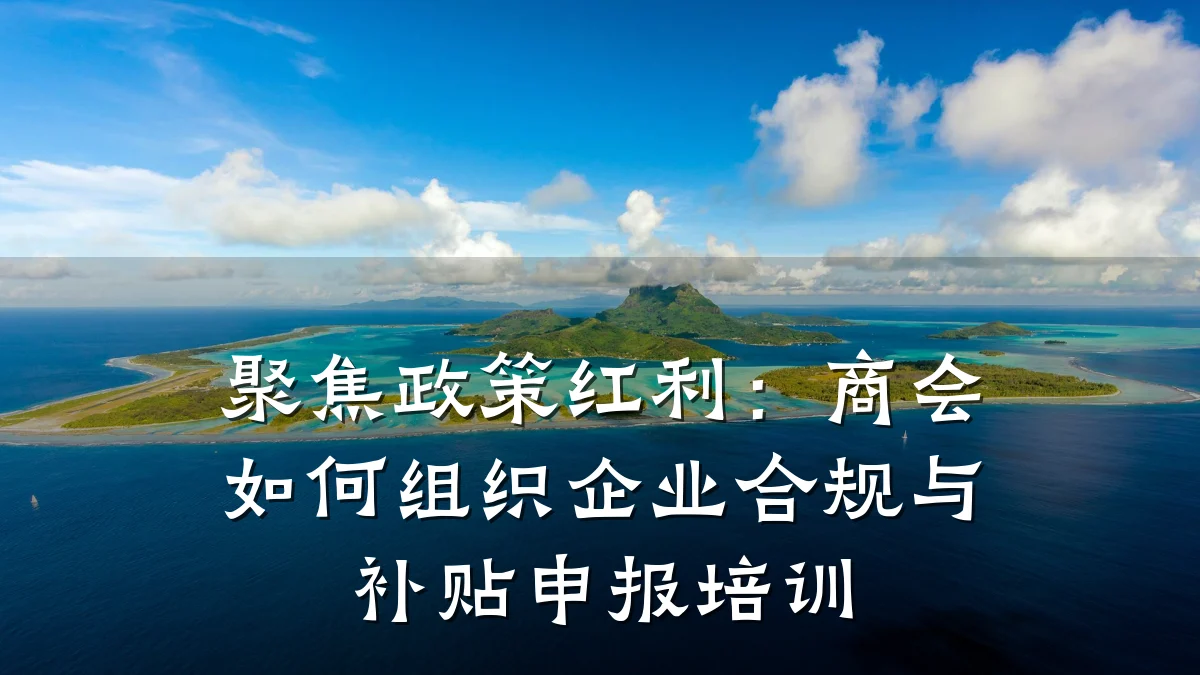 聚焦政策红利:商会如何组织企业合规与补贴申报培训