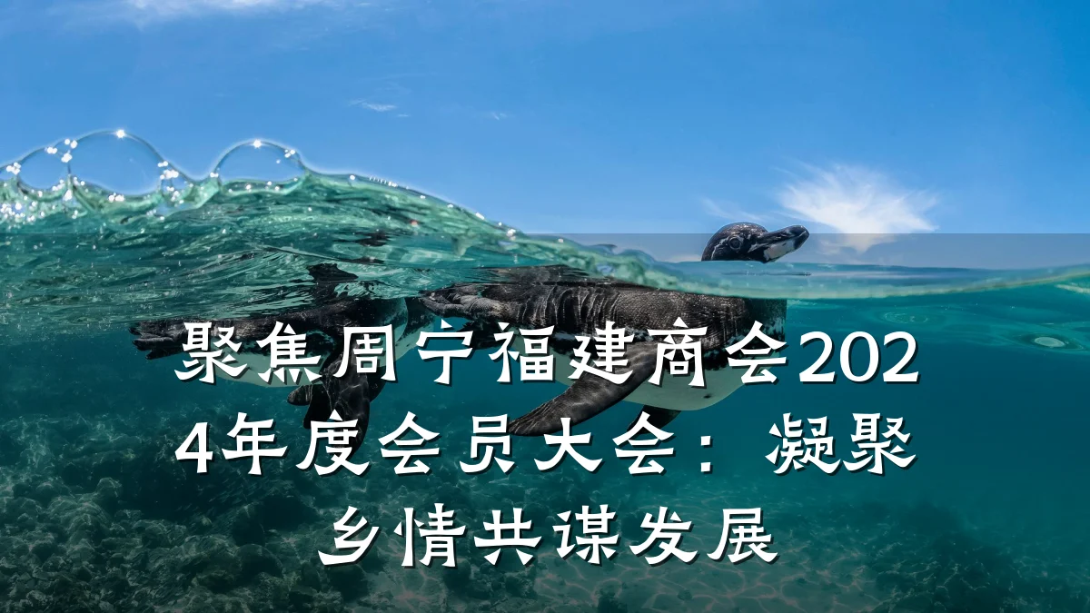 聚焦周宁福建商会2024年度会员大会:凝聚乡情共谋发展
