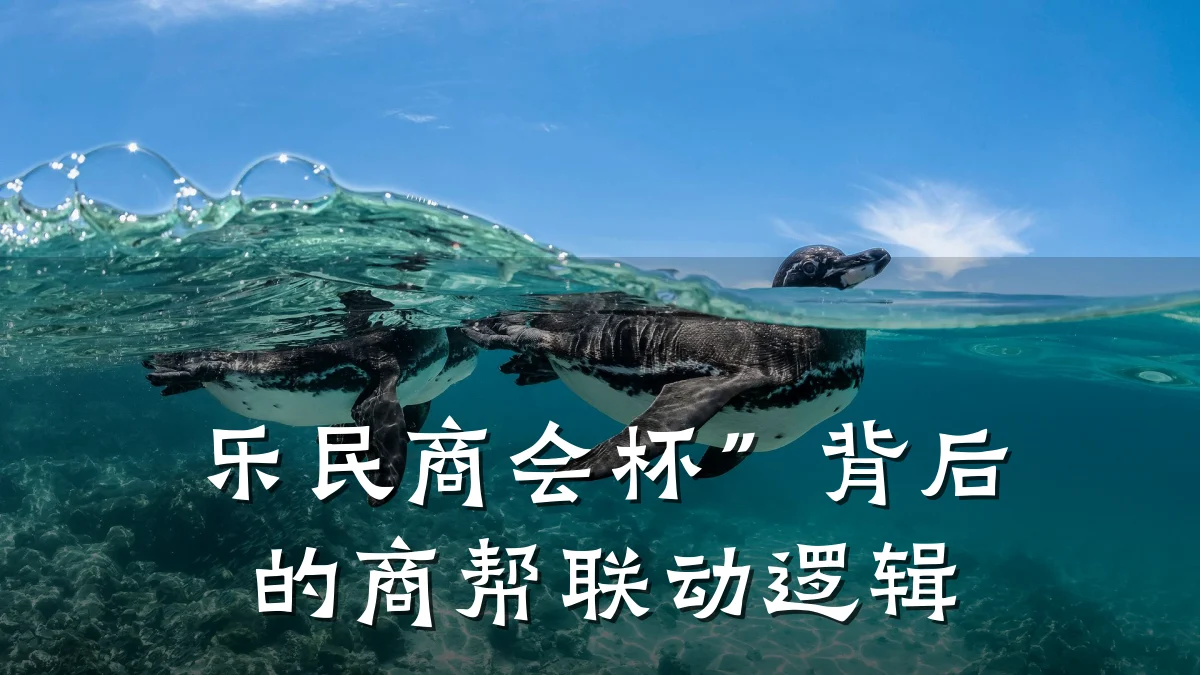 乐民商会杯”背后的商帮联动逻辑
