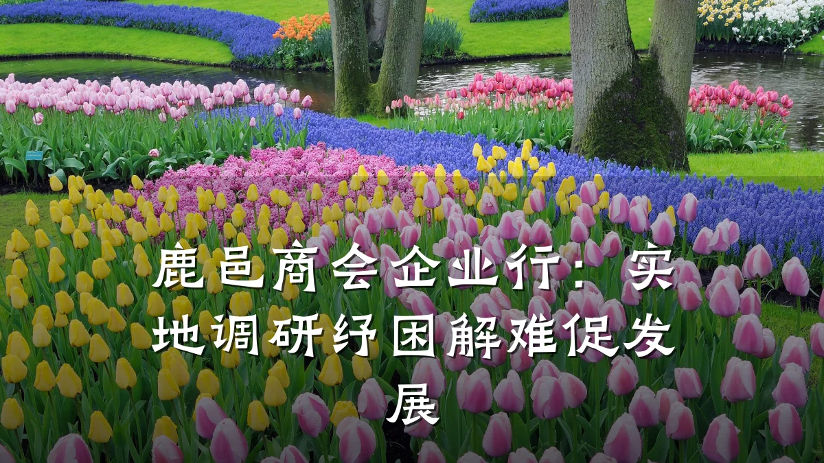 鹿邑商会企业行：实地调研纾困解难促发展
