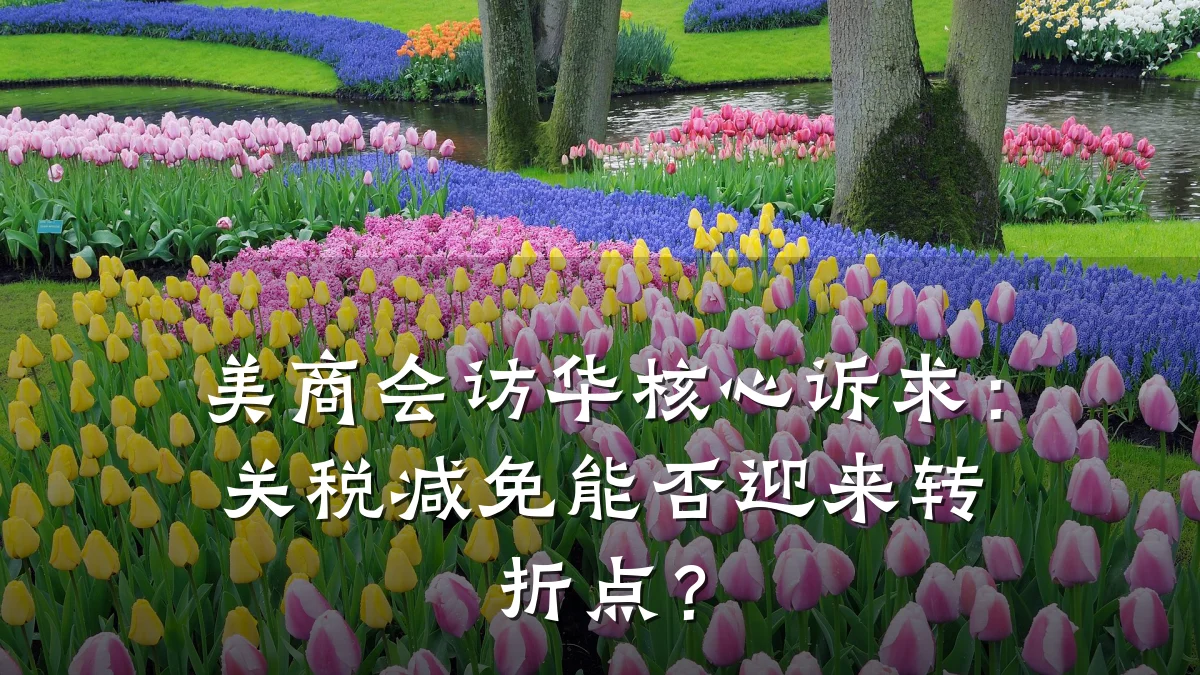 美商会访华核心诉求:关税减免能否迎来转折点?