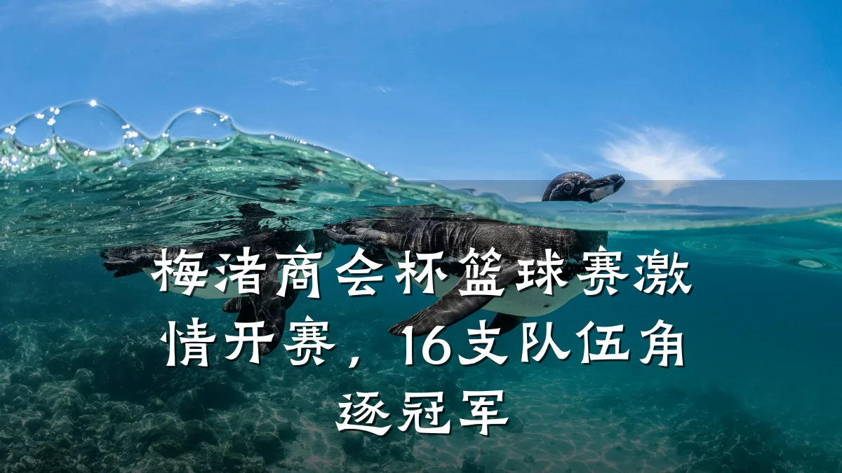 梅渚商会杯篮球赛激情开赛,16支队伍角逐冠军
