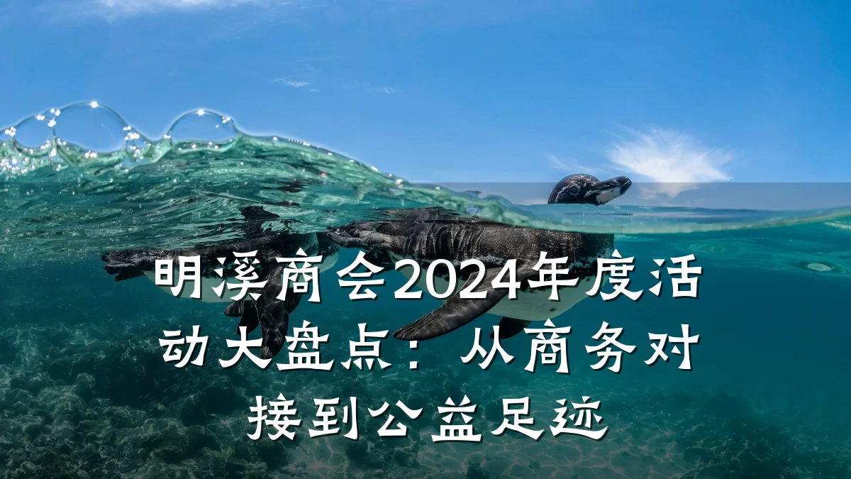 明溪商会2024年度活动大盘点：从商务对接到公益足迹