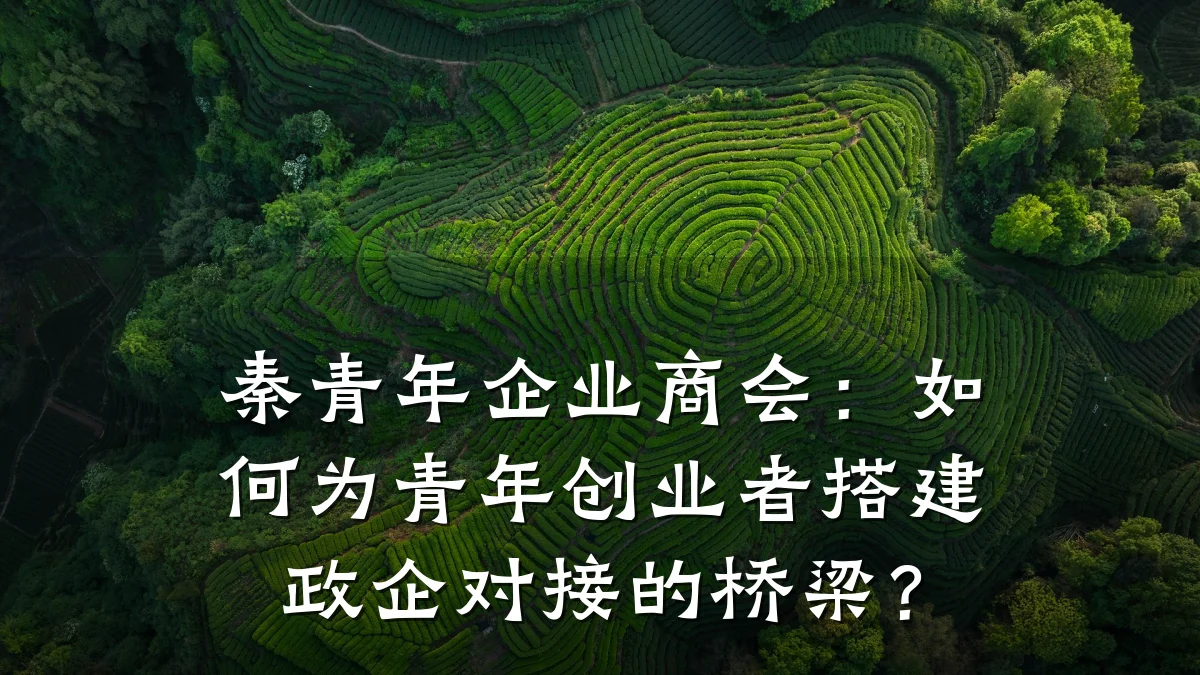 秦青年企业商会:如何为青年创业者搭建政企对接的桥梁?