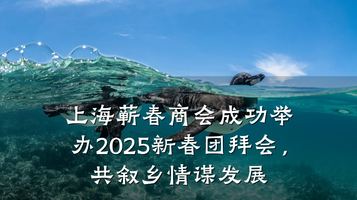 上海蕲春商会成功举办2025新春团拜会,共叙乡情谋发展