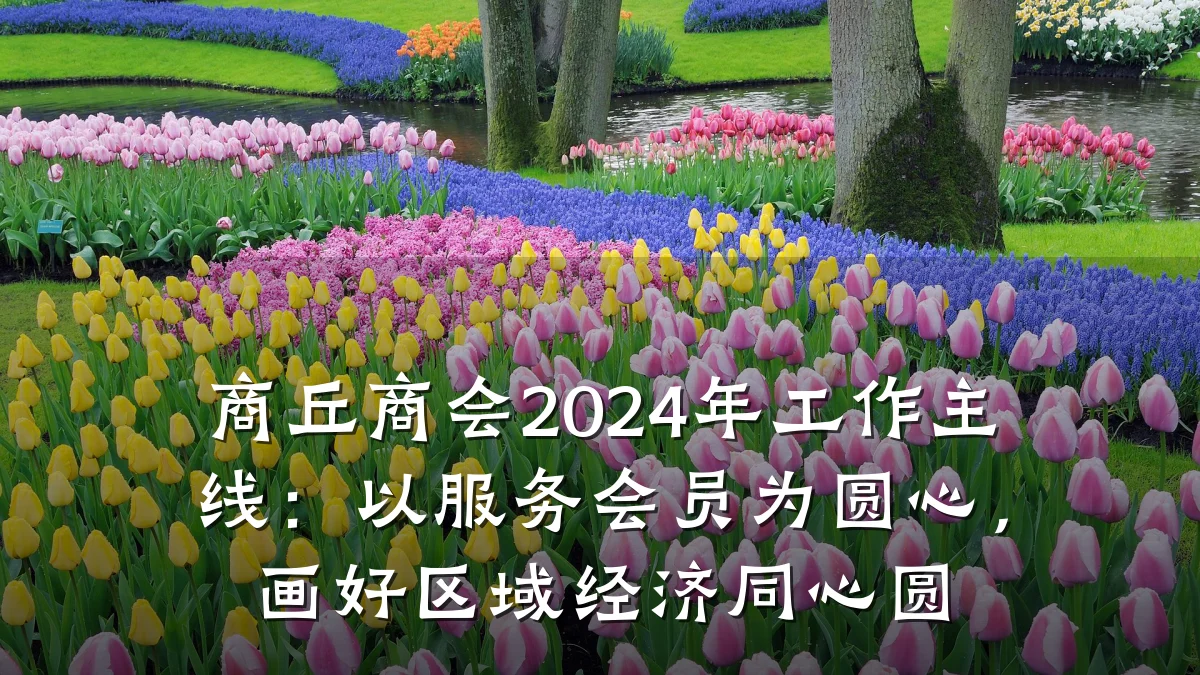 商丘商会2024年工作主线：以服务会员为圆心，画好区域经济同心圆