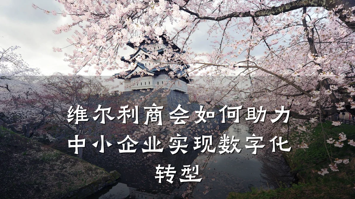 维尔利商会如何助力中小企业实现数字化转型