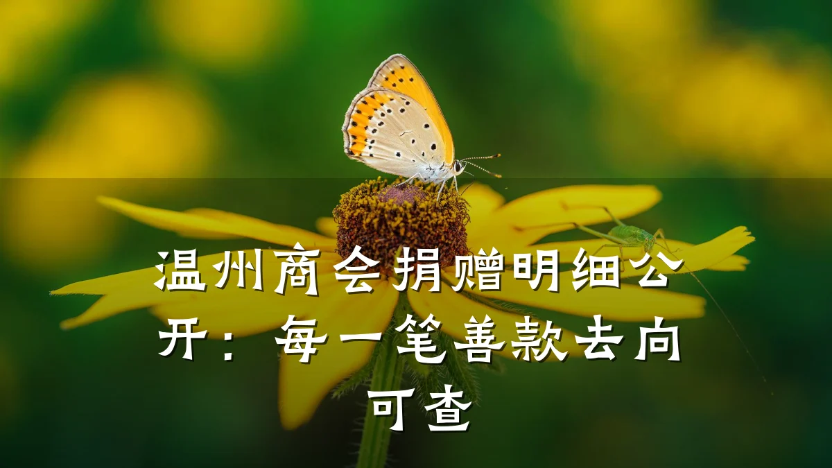 温州商会捐赠明细公开：每一笔善款去向可查