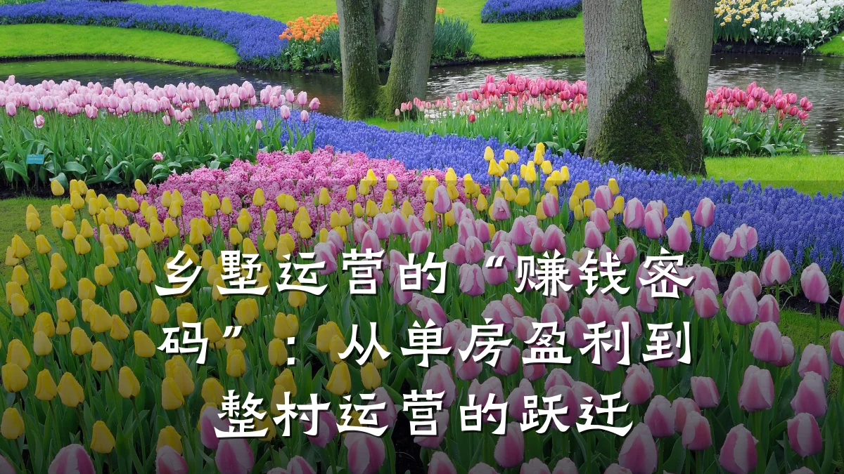 乡墅运营的“赚钱密码”：从单房盈利到整村运营的跃迁