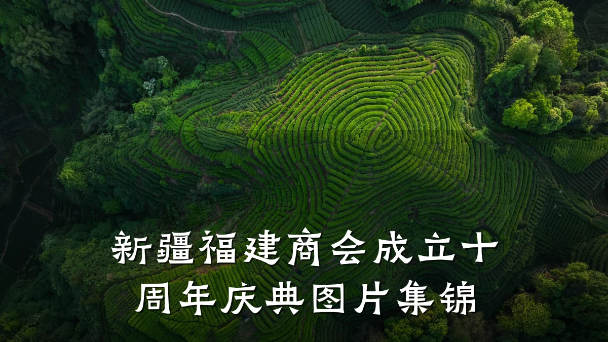 新疆福建商会成立十周年庆典图片集锦