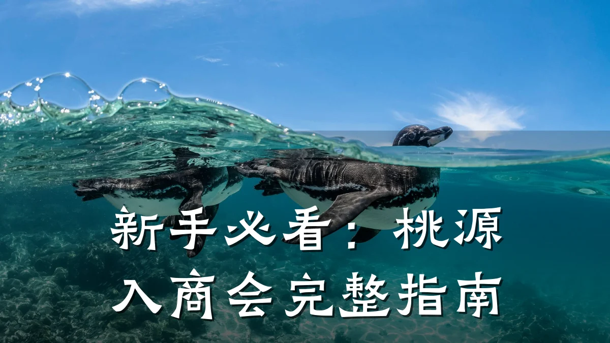 新手必看:桃源入商会完整指南