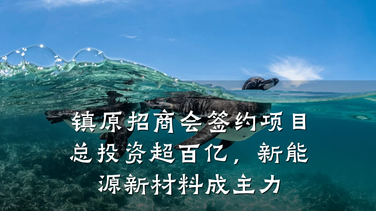 镇原招商会签约项目总投资超百亿,新能源新材料成主力