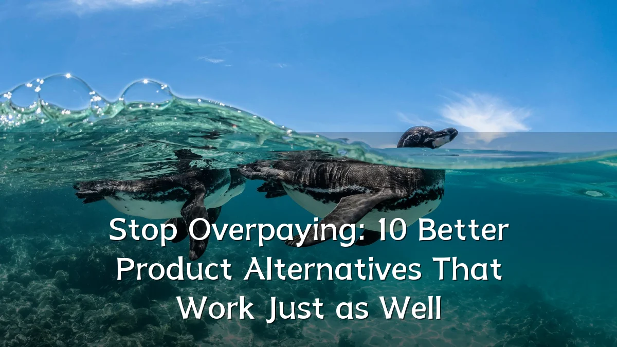Stop Overpaying: 10 Better Product Alternatives That Work Just as Well