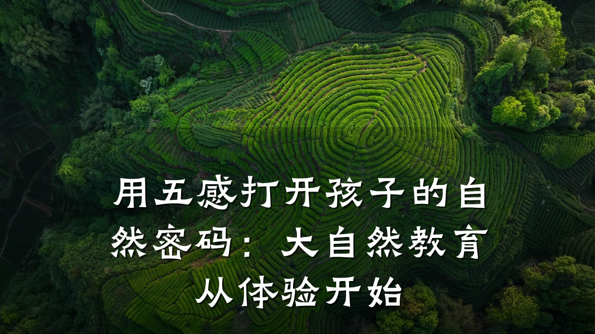 用五感打开孩子的自然密码:大自然教育从体验开始