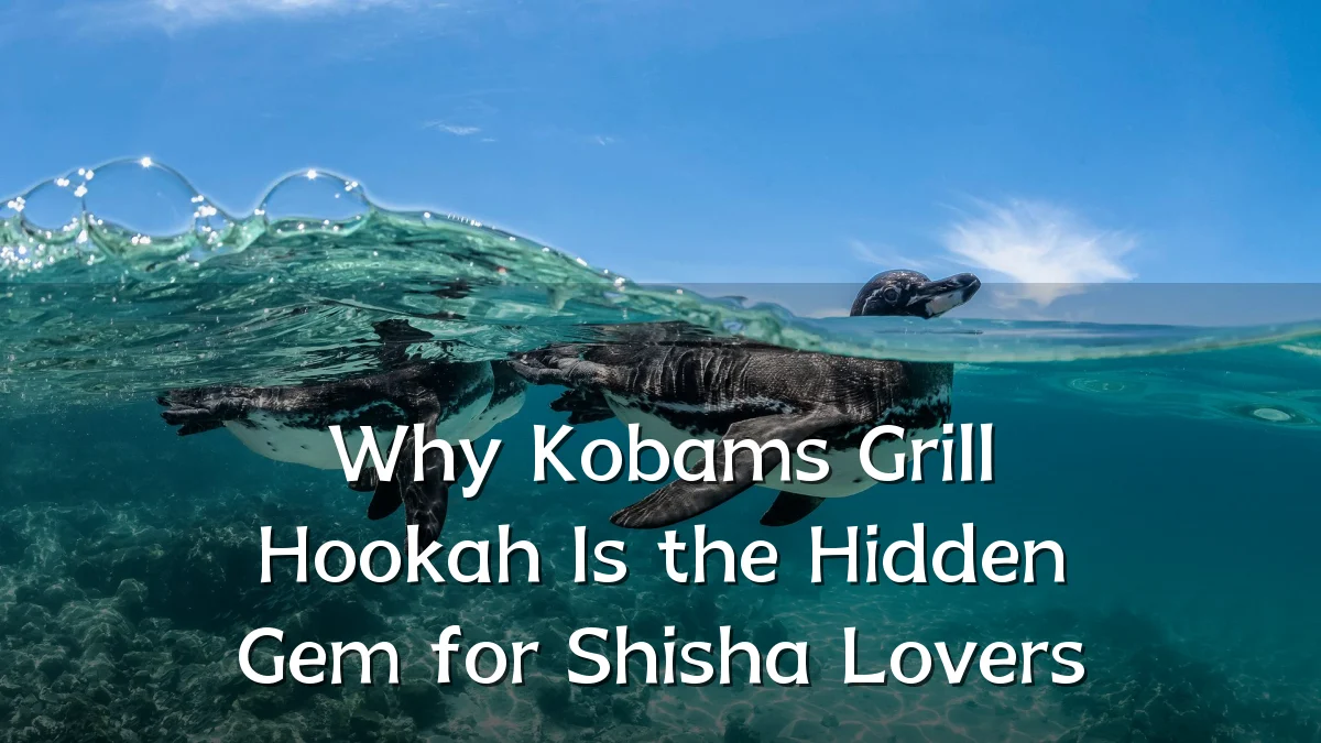 Why Kobams Grill Hookah Is the Hidden Gem for Shisha Lovers