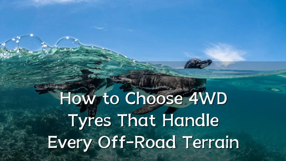 How to Choose 4WD Tyres That Handle Every Off-Road Terrain